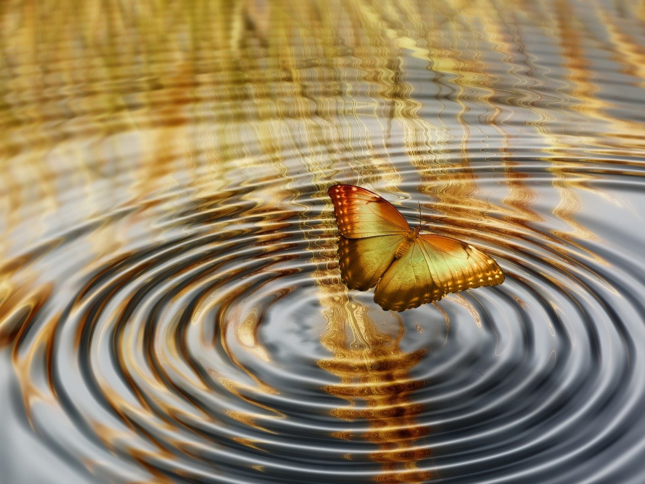 净土深义新解，探寻心灵归宿的终极智慧